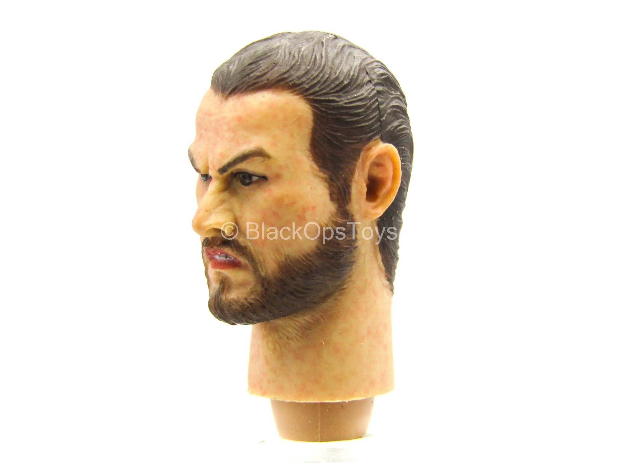 1/12 - Bodyguard Knights - Male Head Sculpt Type 2