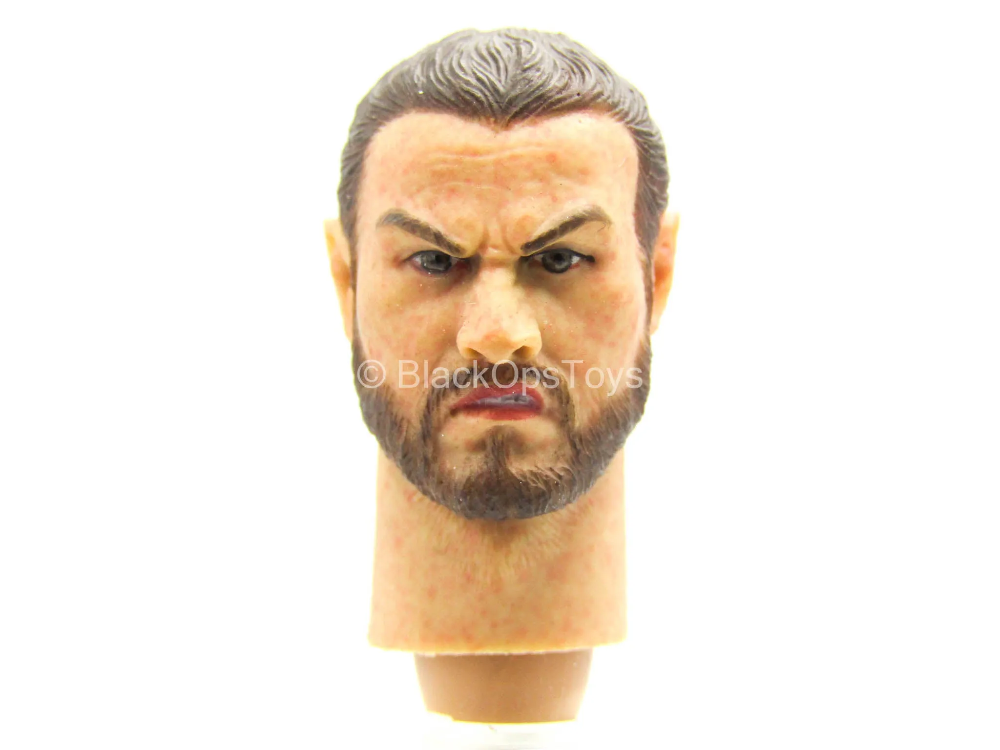 1/12 - Bodyguard Knights - Male Head Sculpt Type 2