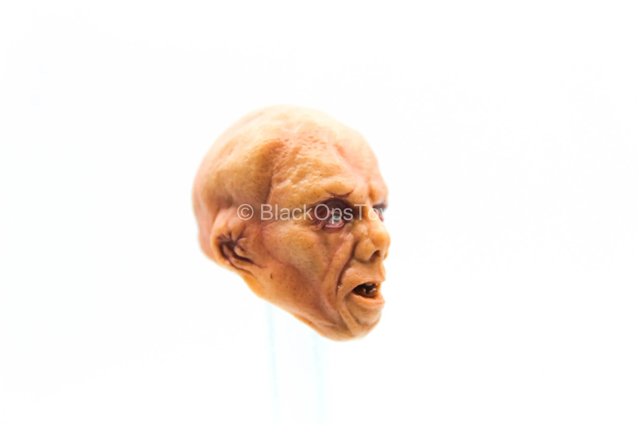 1/12 - Jason Voorhees - Deformed Male Head Sculpt