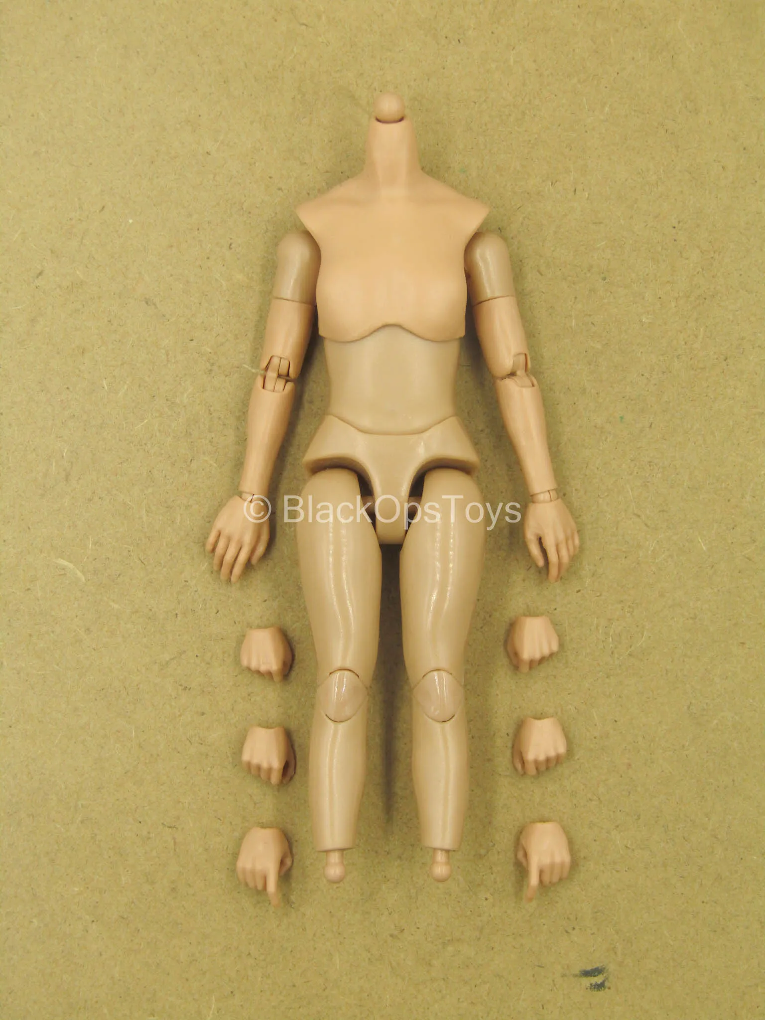 1/12 - Terminator Dark Fate - Sarah Connor - Female Body w/Hands