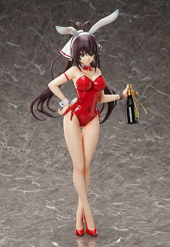 1/4th Houki Shinonono Bare Leg Bunny Ver