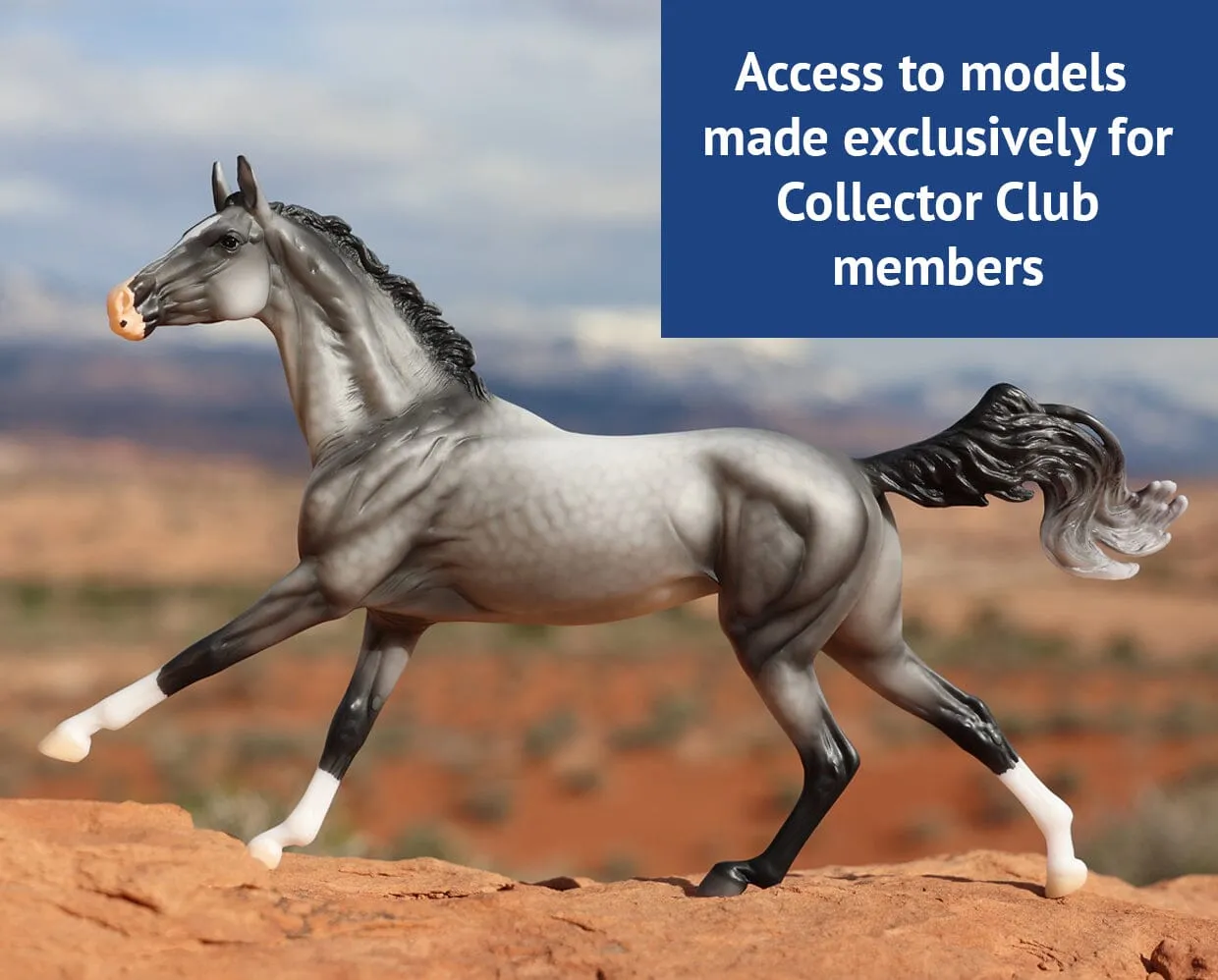 2024-2025 Deluxe Collector Club Membership