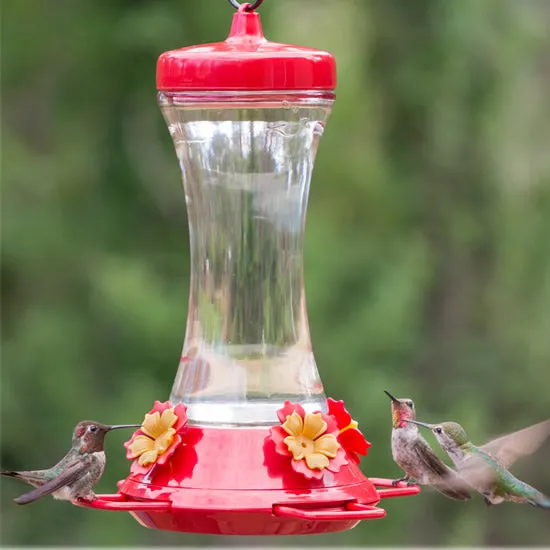 Adjustable Perch Hummingbird Feeder