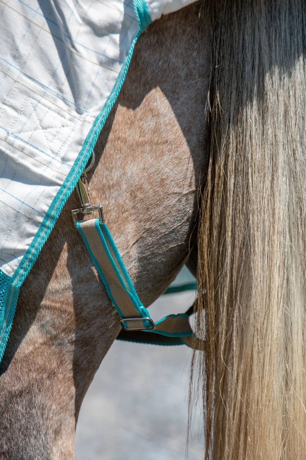 Allrounder Fly Rug Combo | Standard