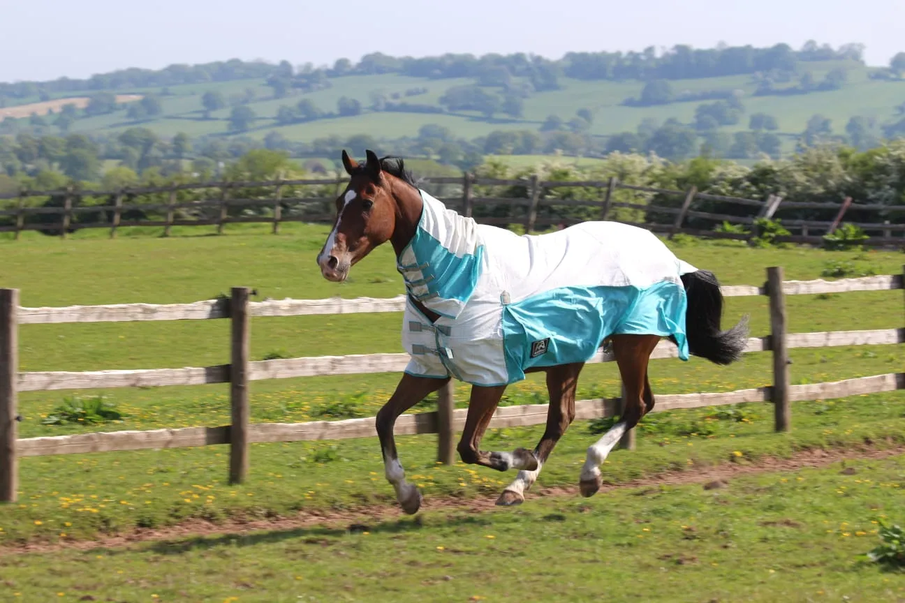 Allrounder Fly Rug Combo | Standard