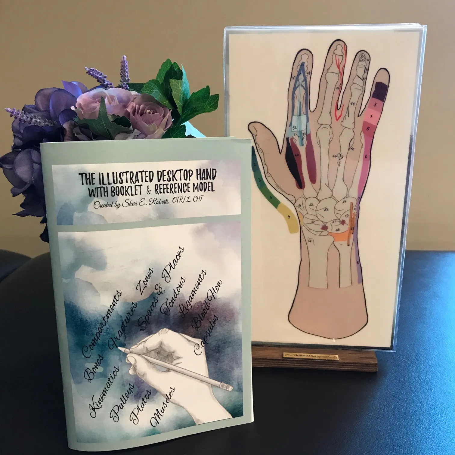 Anatomical  Hand  Reference & Illustrated Booklet For Hand  Therapists