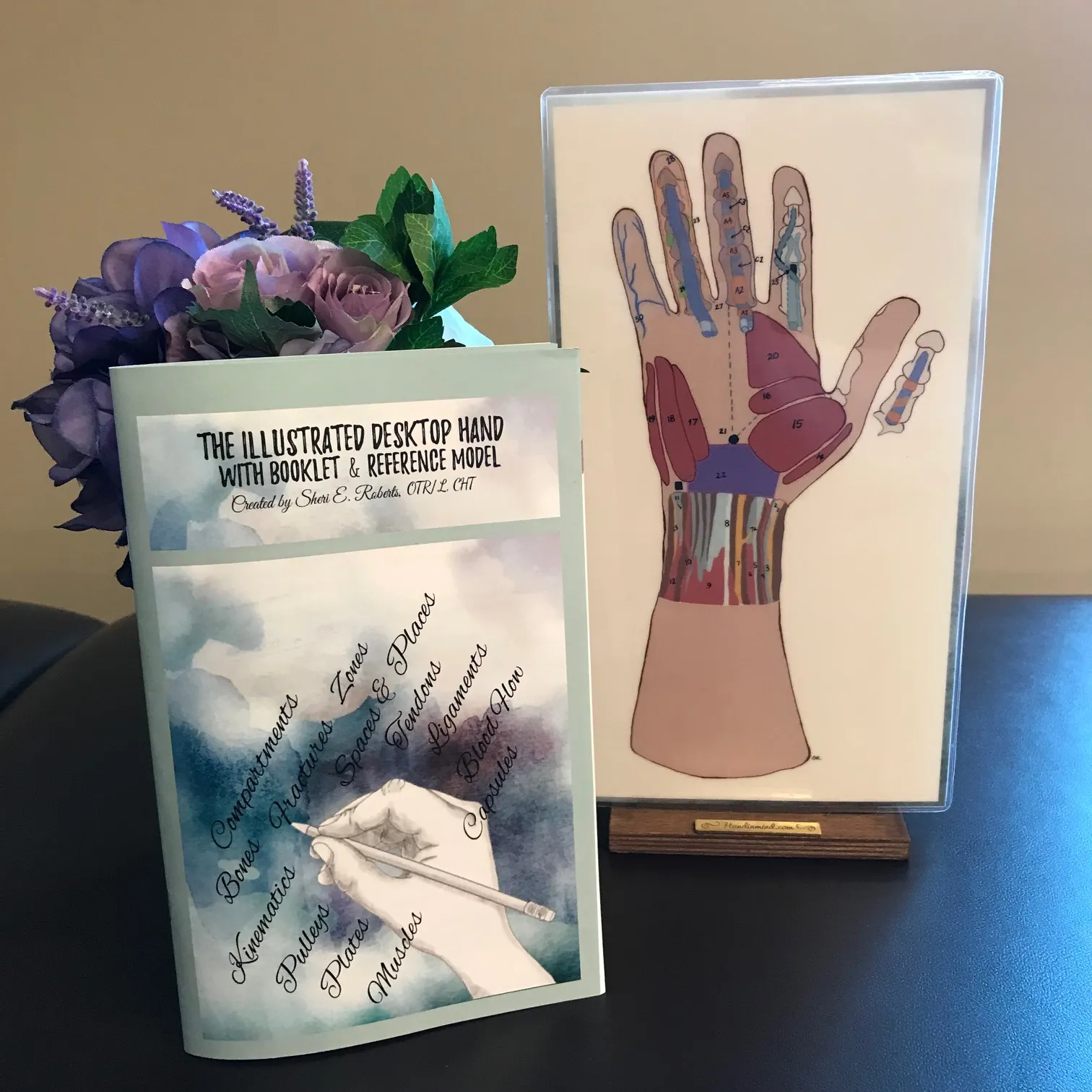 Anatomical  Hand  Reference & Illustrated Booklet For Hand  Therapists