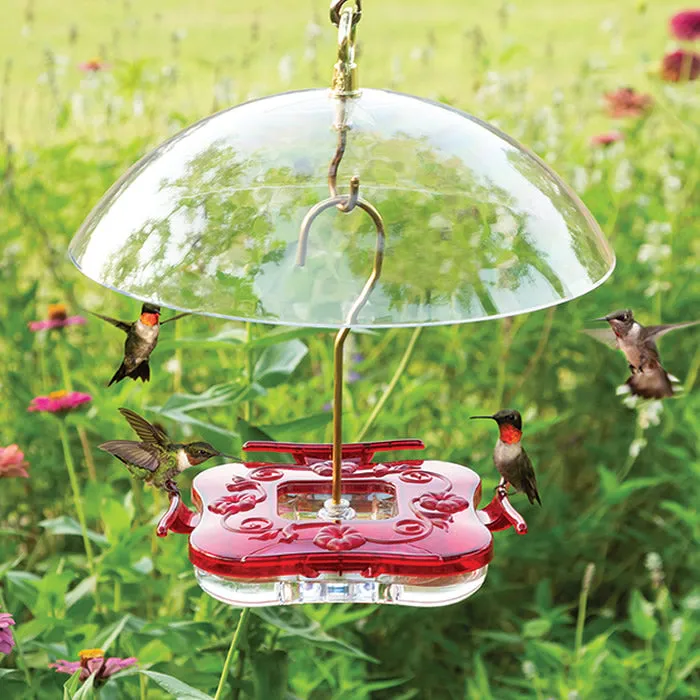 Aspects Square HighView Hummingbird Feeder & Dome