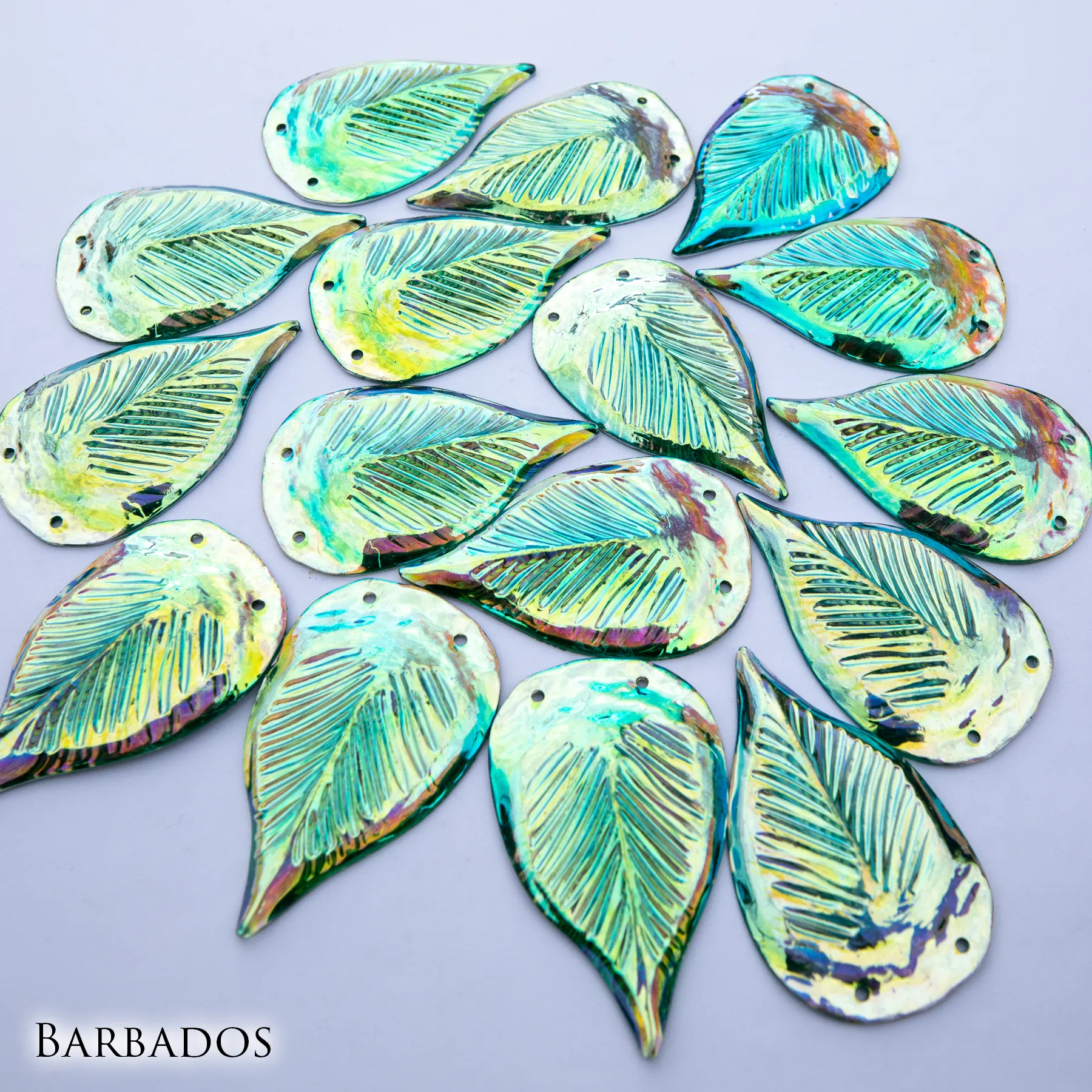 Barbados Dragon Scales