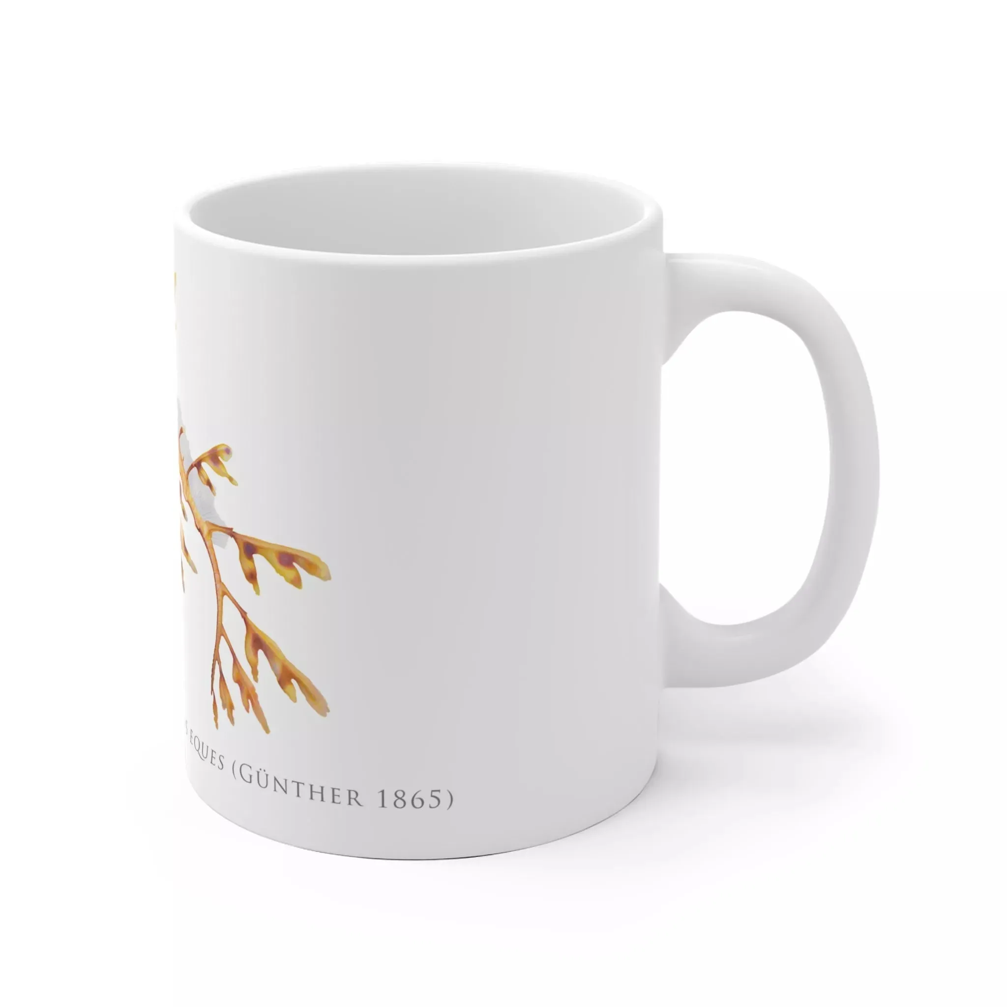 Leafy Seadragon, Phycodurus eques -  Mug