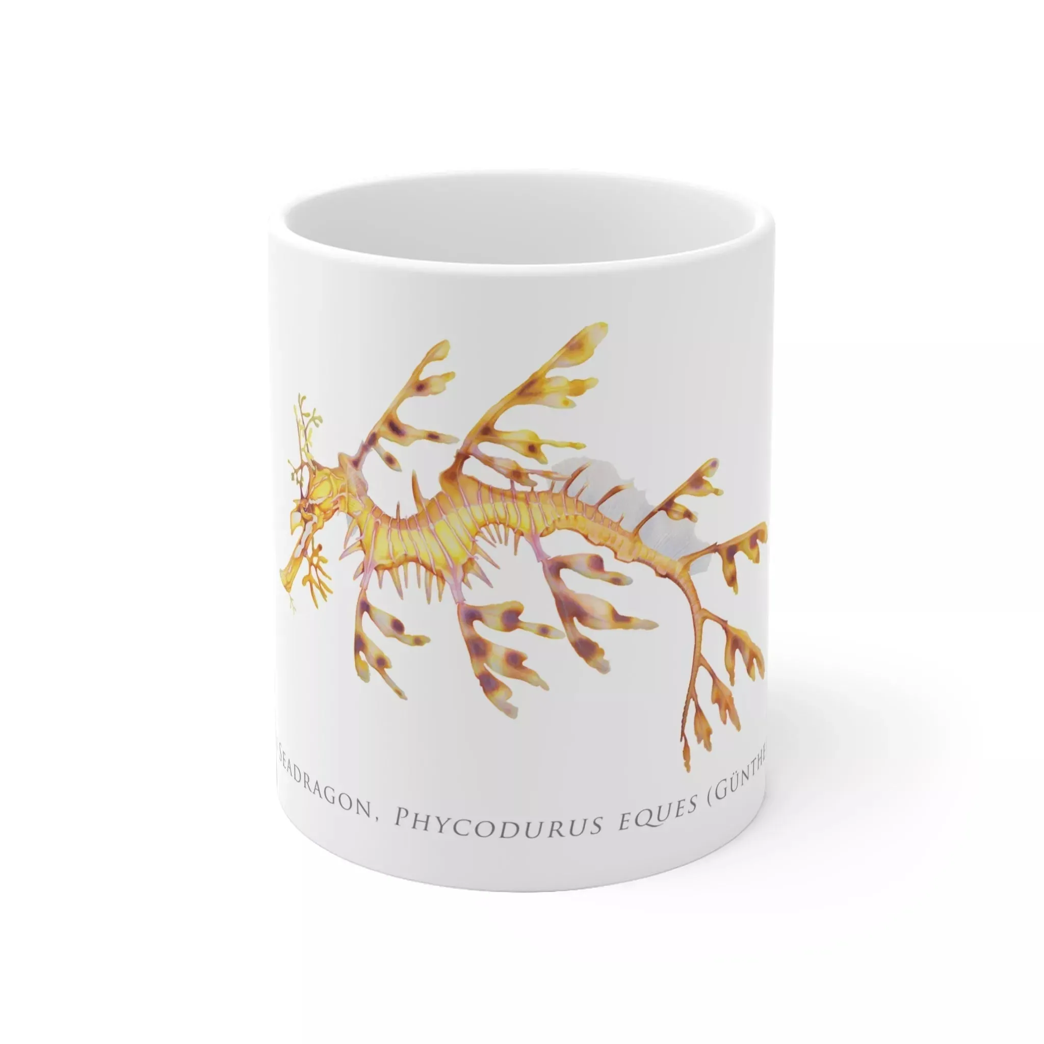 Leafy Seadragon, Phycodurus eques -  Mug