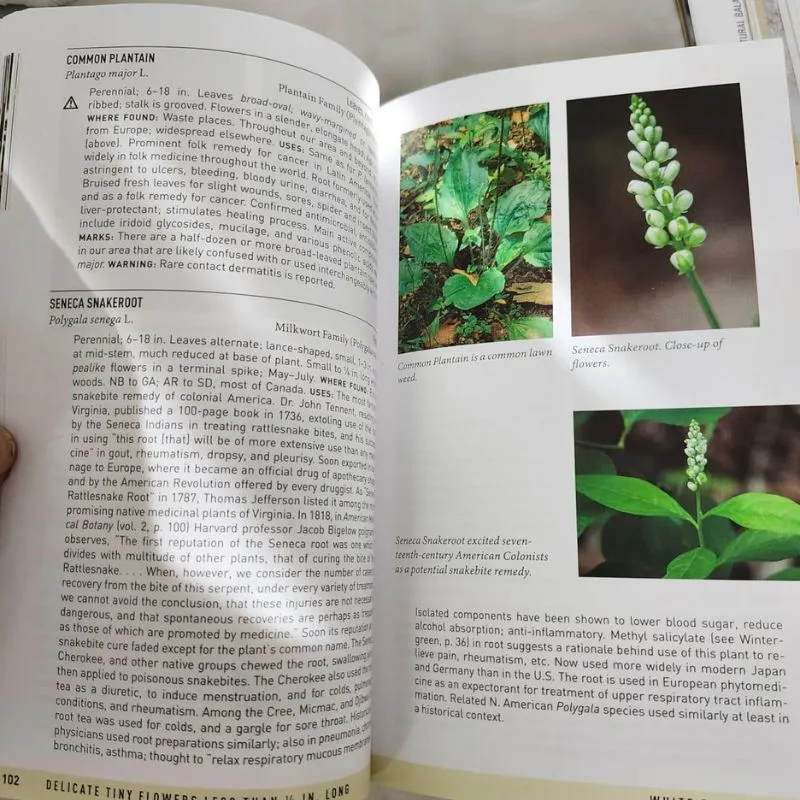 Peterson Field Guide to Medicinal Plants & Herbs of Eastern & Central North America