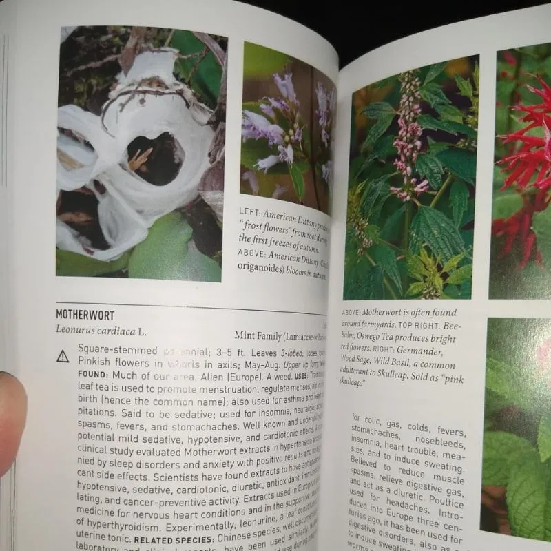 Peterson Field Guide to Medicinal Plants & Herbs of Eastern & Central North America