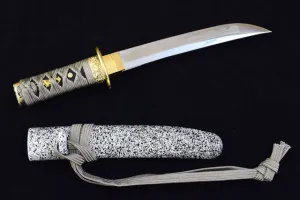 Short Katana: Gokotai