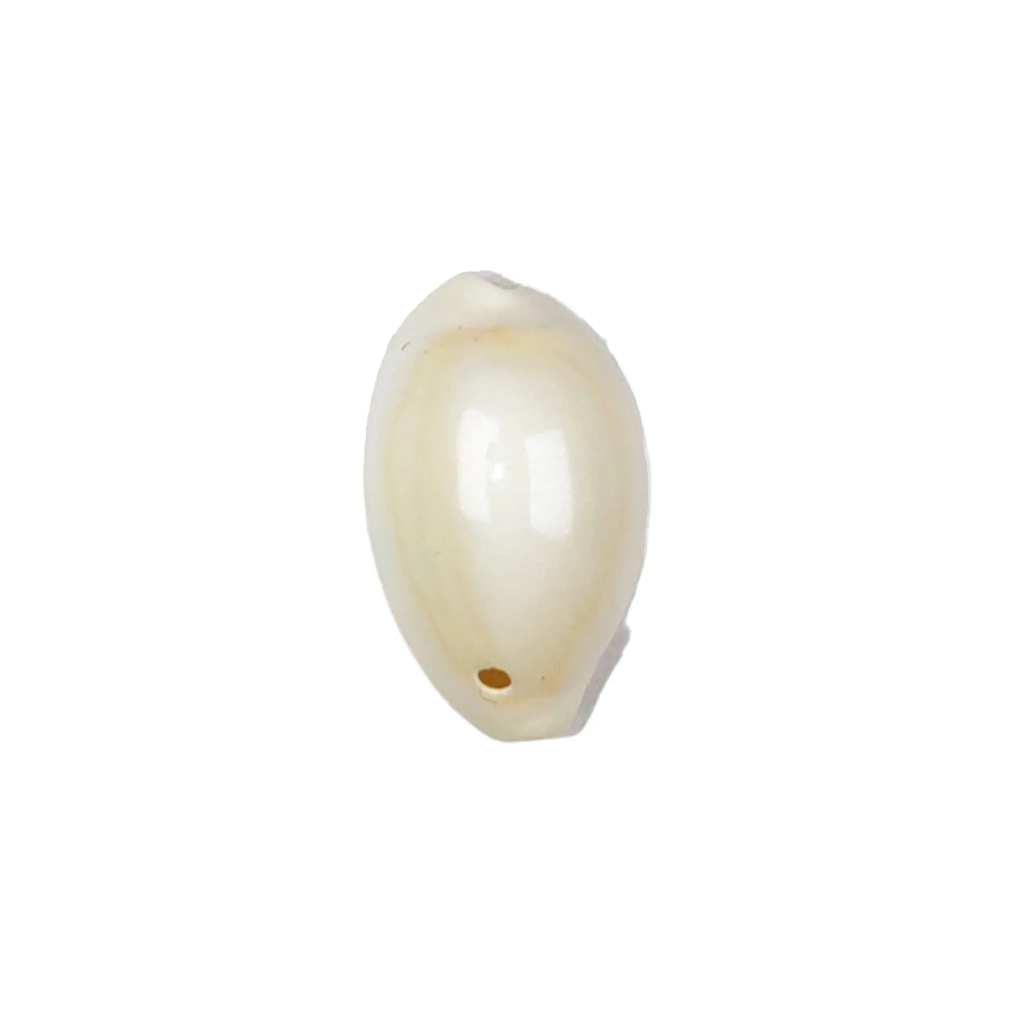 White Shell Shape Kodi Motif for Crafting or Decoration, Jewelry Making